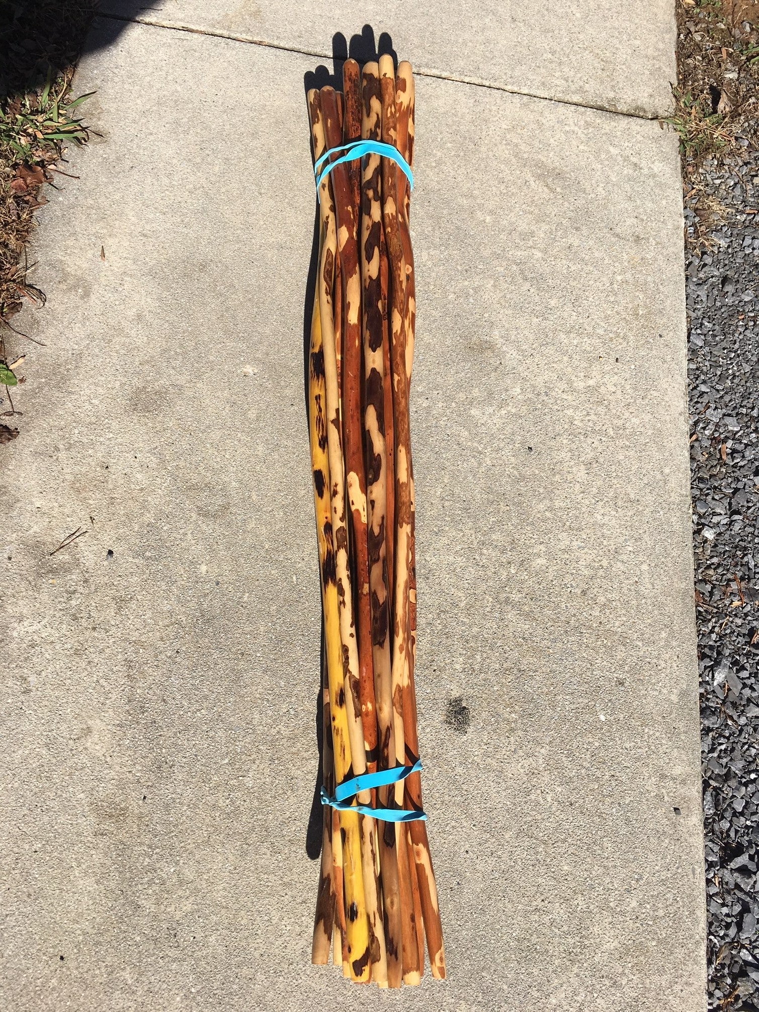 Hickory Hiking / Walking sticks 42”