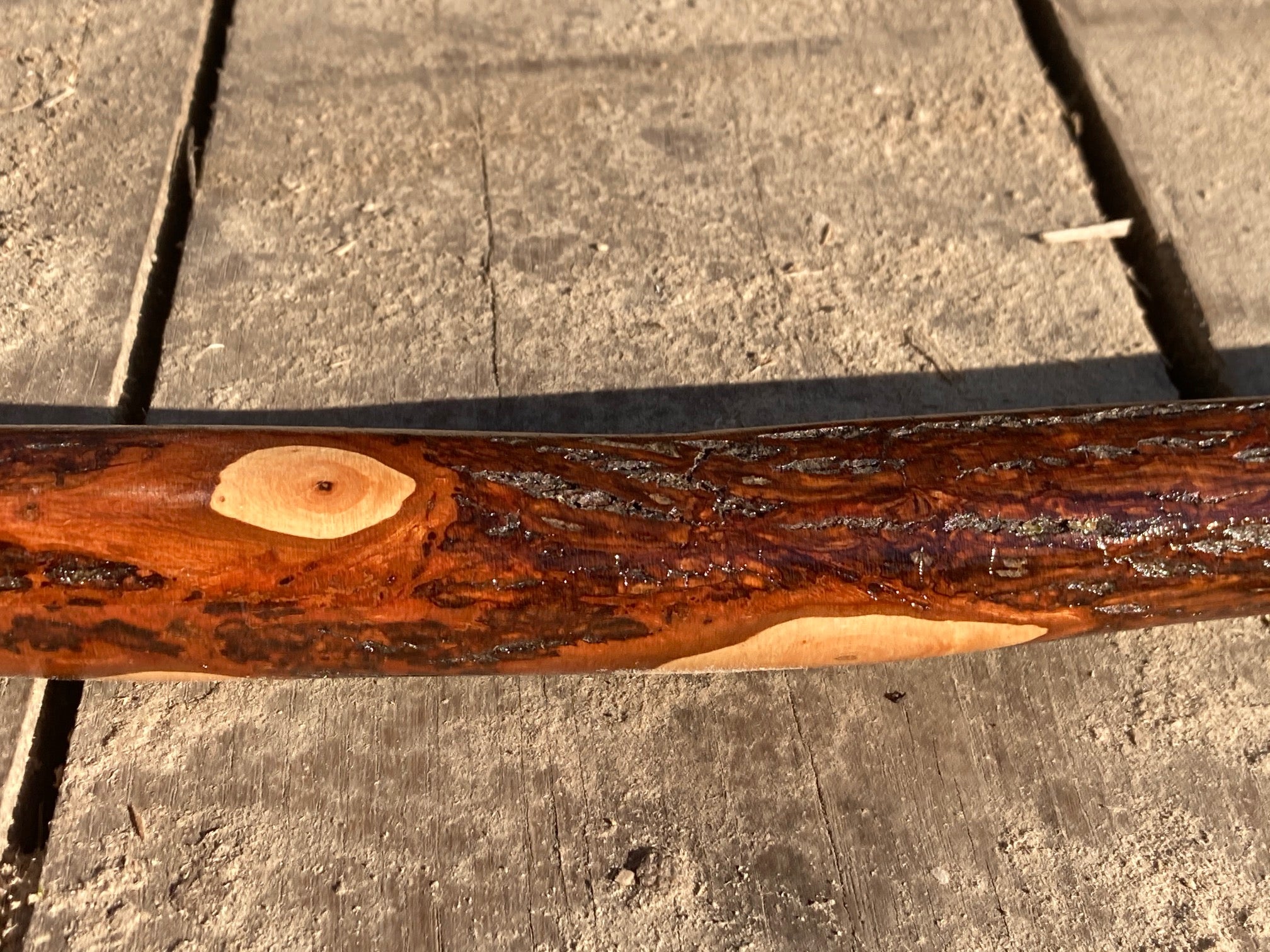 60" Beaver Tooth Hickory Walking / Hiking Stick