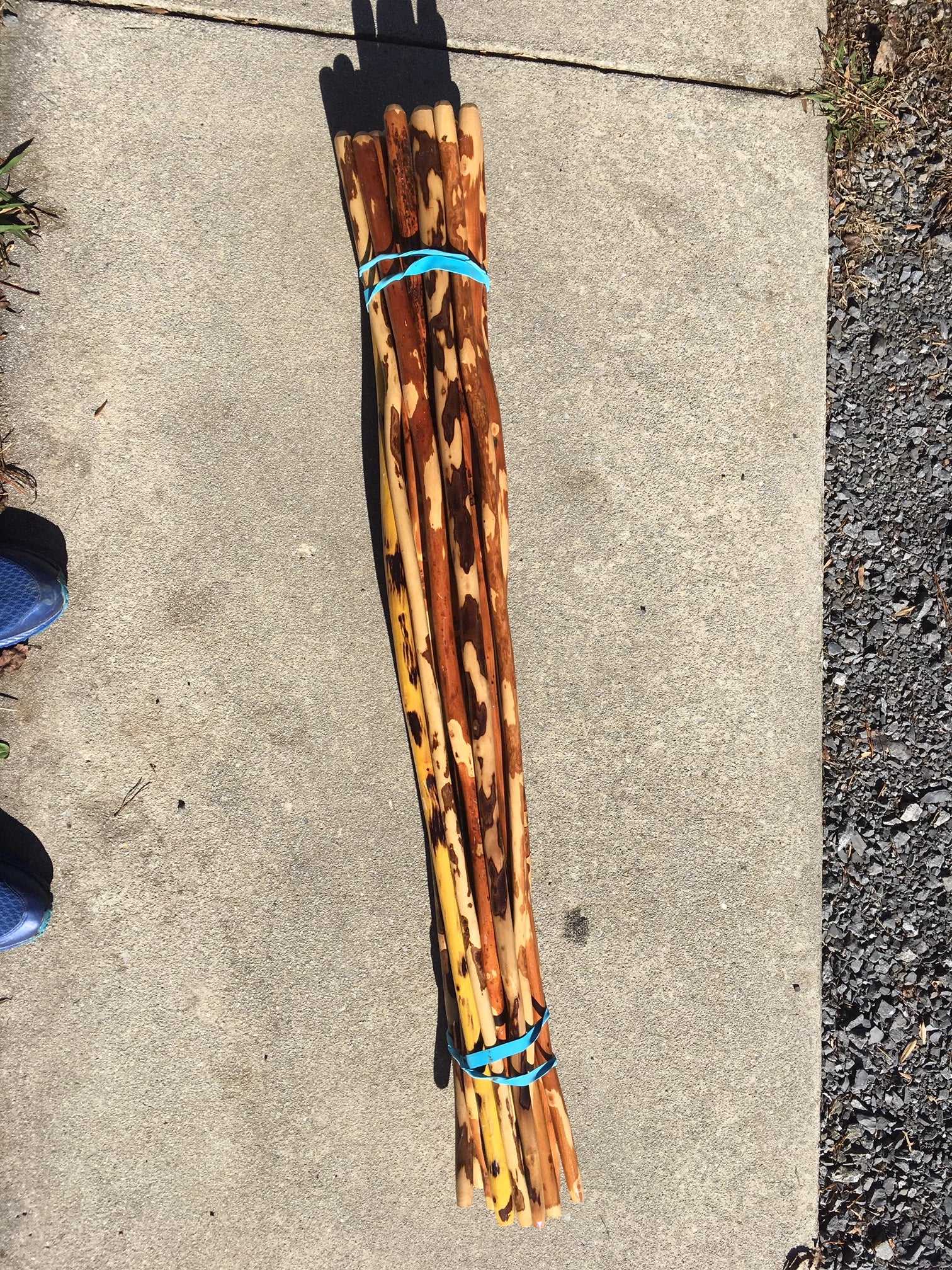 Hickory Hiking / Walking sticks 42”